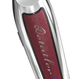 Detailer Cordless
