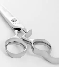 Slijpen Coupe Schaar