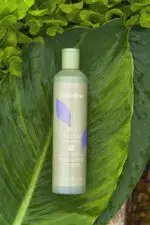 ECHOSLINE NO YELLOW SHAMPOO