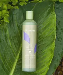 ECHOSLINE NO YELLOW SHAMPOO