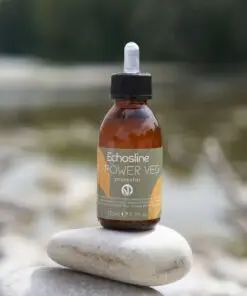Echosline Ki-Power vegan Protector 125ml